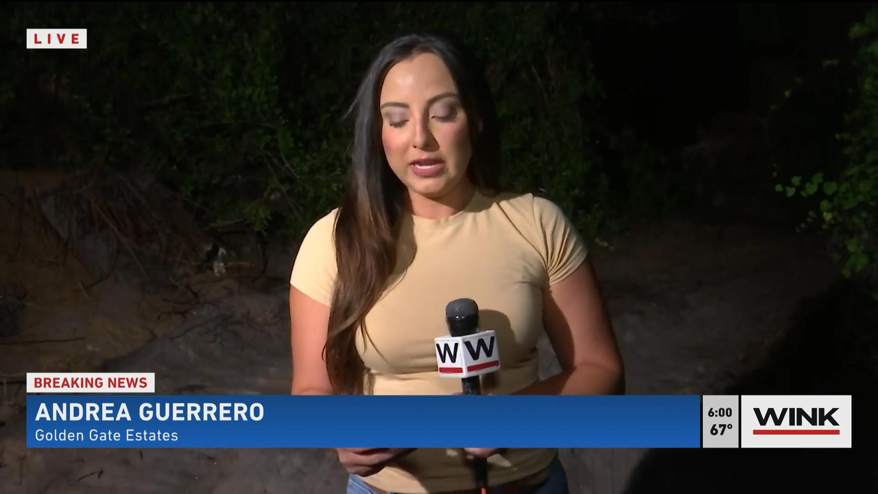 05.23 - 11.00.00 - WINK News @ 6 00AM Sunday. Local news, sports and ....ts_snapshot_00.59_[2021.05.