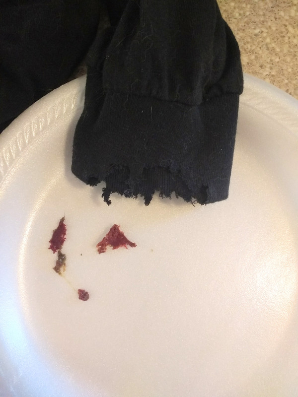 IMG_20190430_084156444