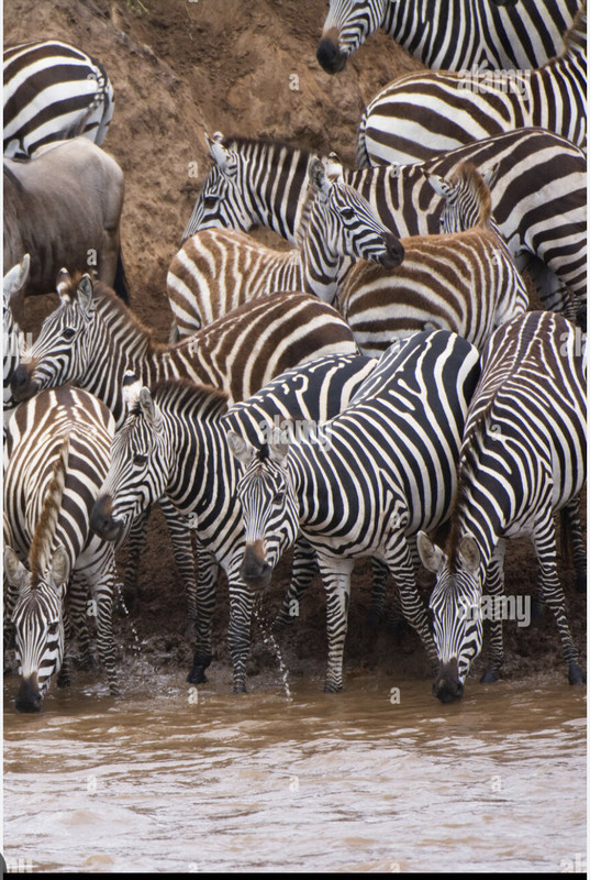 D14070A1-99D2-4EB9-A310-B7941B288C33