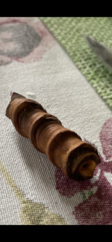 F0BC99B4-43AE-4ED6-AEAB-2944FA430A80