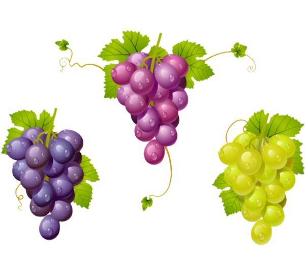 TADD_elements_ShimmerFall (9)