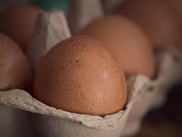 Литва планирует поставлять яйца в НовуюЗеландию