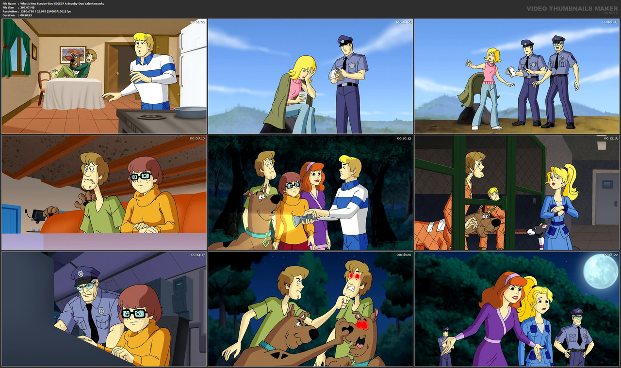 What's New Scooby-Doo S00E07 A Scooby-Doo Valentine.mkv