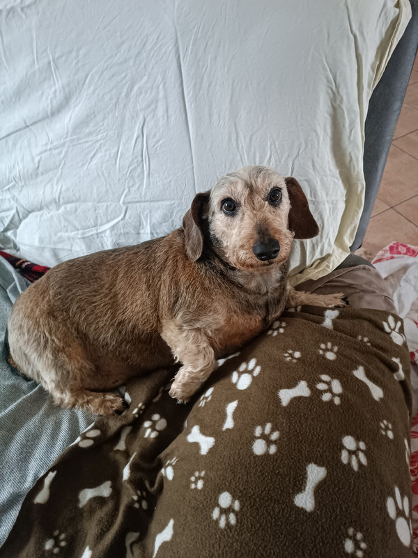 [Image: IMG-20250321-172053.jpg]