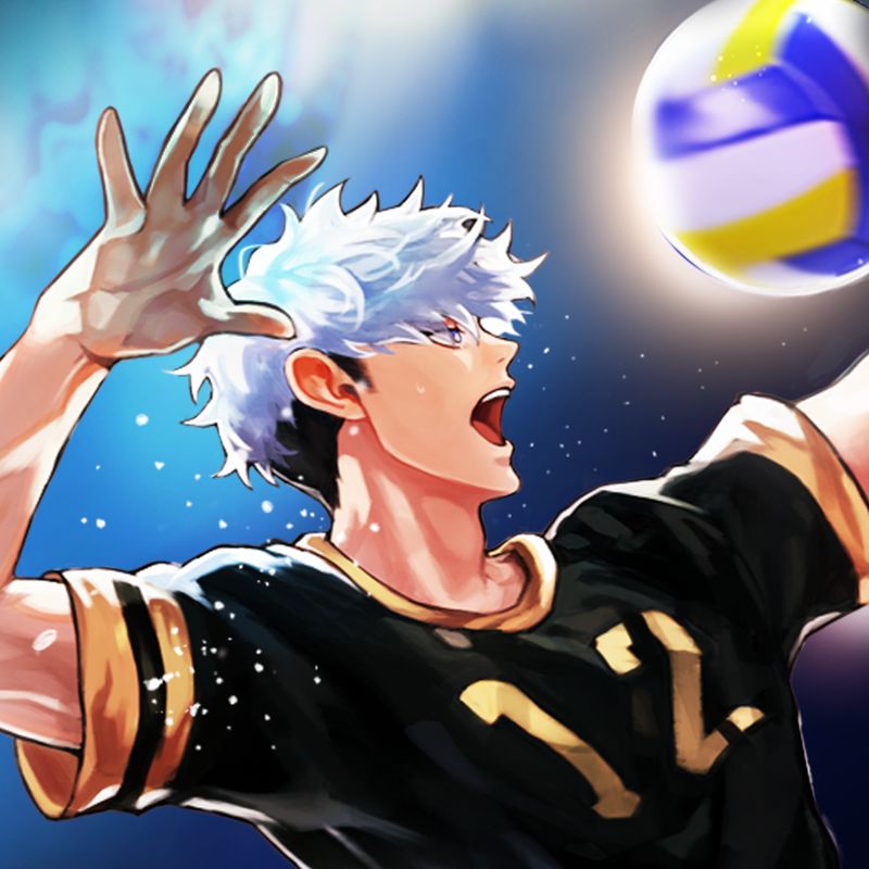 the spike volleyball