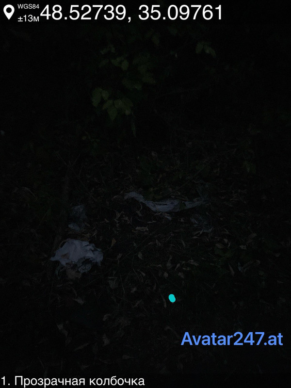 IMG_20250930_193150_954