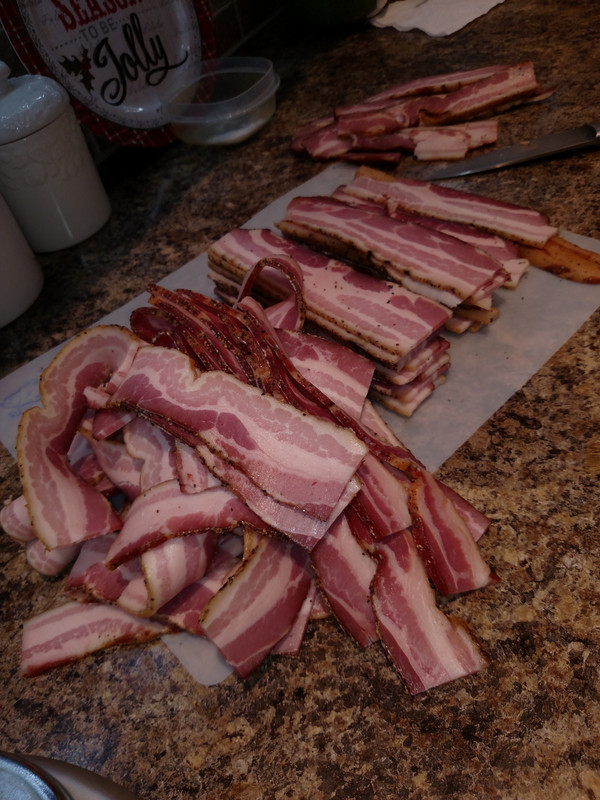 IMG_20221216_125656462