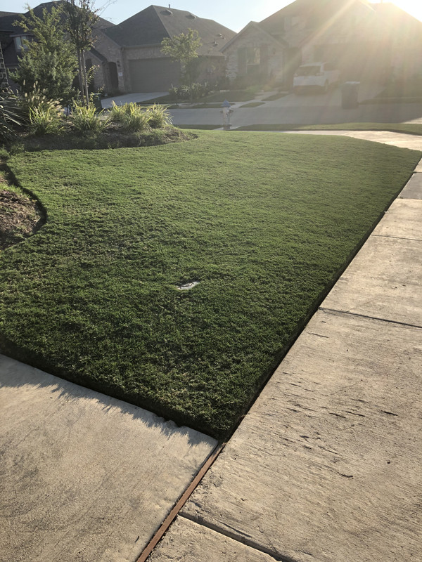 EF631D25-00F3-4E3A-B73F-957733EACA8F