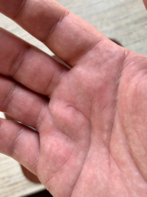 FDA269EB-8EC9-41AB-9DD9-6D6B50FBDE31