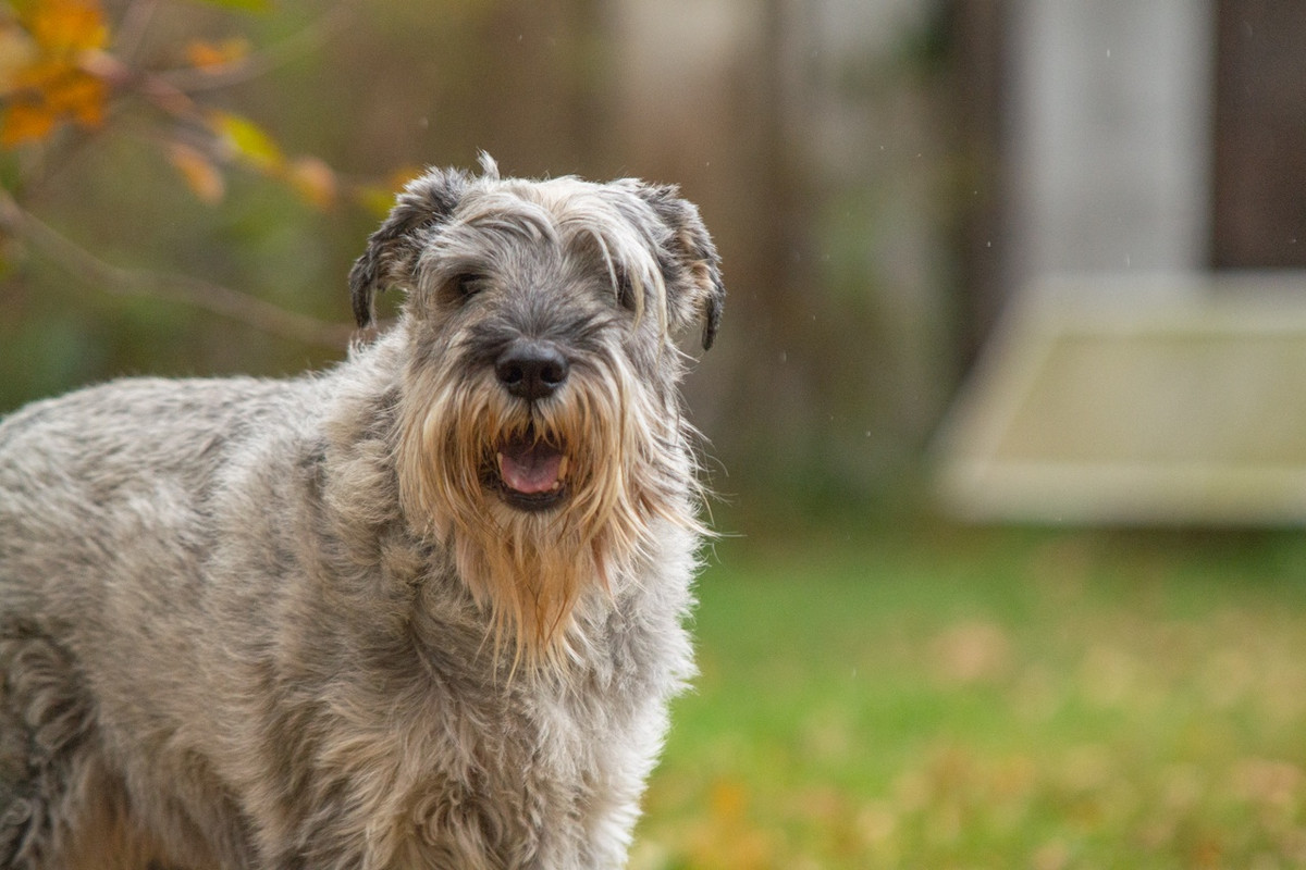 uiDLi0MeWNV3wMfLn4_5RBd77n2n8bB8V-Pekg_wvYzM42qwInveqgG7tizeHLjE2IiI_p29eE5nIvwK3xDEsK53