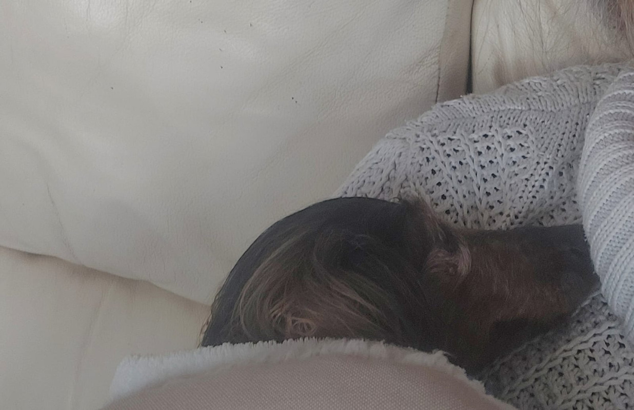 [Image: IMG-20240429-WA0021.jpg]