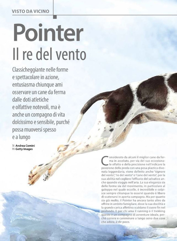 Il M C Mar-Apr 2024 (7)