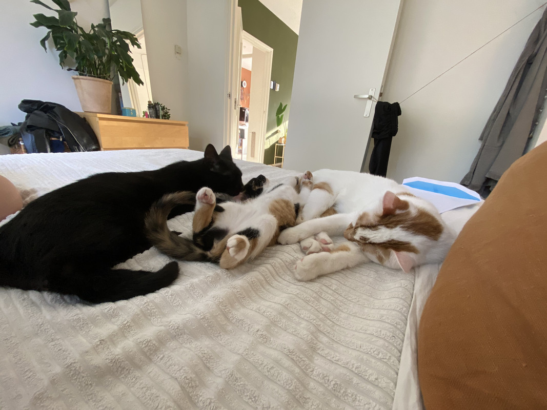 3400E263-987B-4DB4-9242-A120D12FF37E