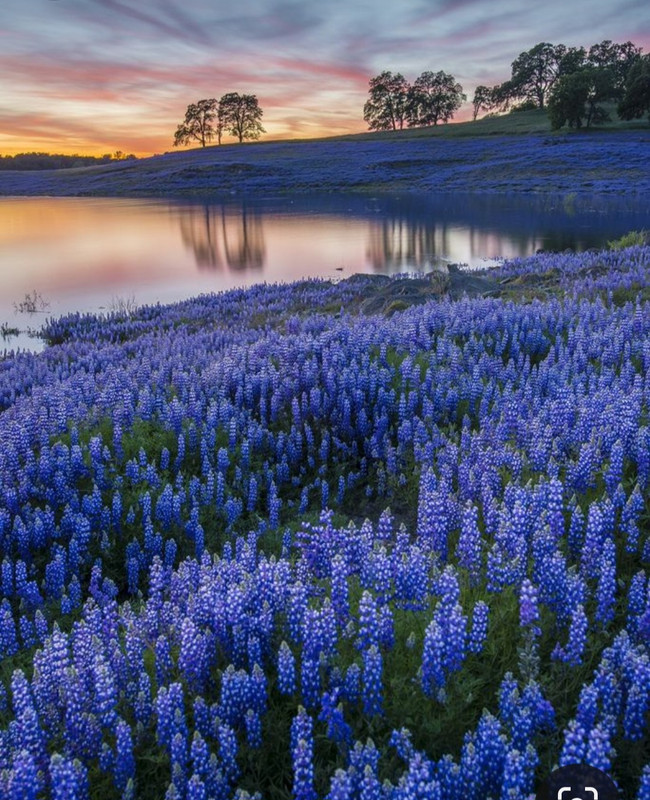 Screenshot_20240429_214331_Pinterest