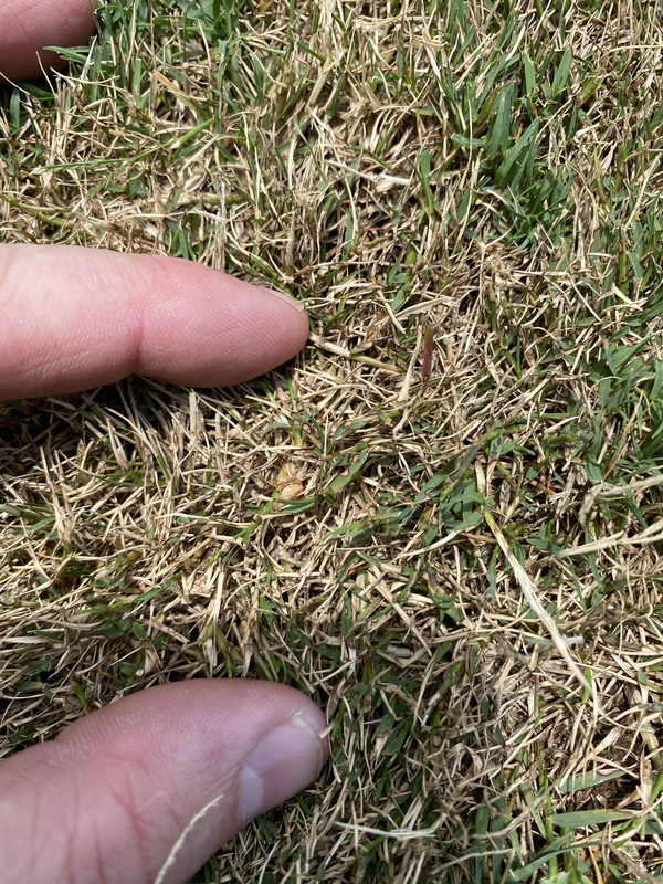 1 D66 Eb0 E 45 Bf 4 E7 A Aabf D9 D949 B6599 A Postimages