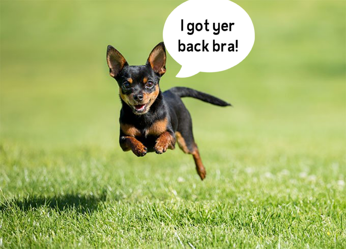 0455FB52-6BA7-4953-AA82-7952BC923F3E