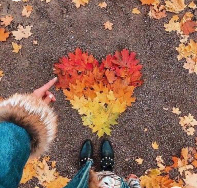 Screenshot_20230103_231707_Chrome