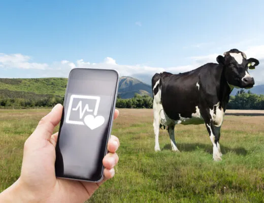 When Phones Replaced Guesswork