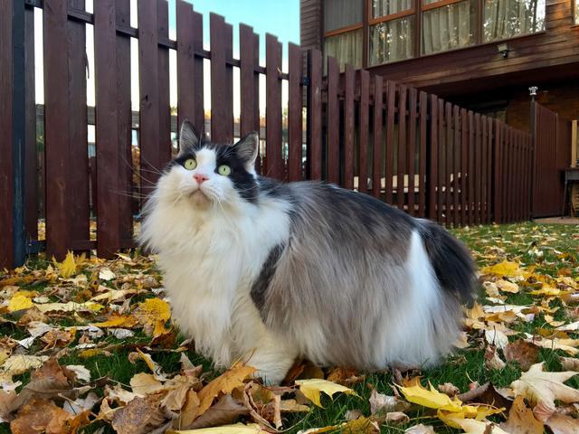 B21-A71-DB-C4-B5-4-BD0-BC4-B-8-D4134-E95