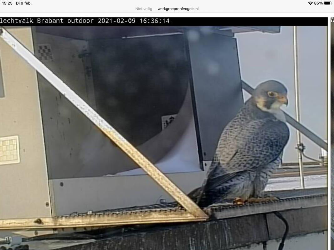 91DBA103-7089-4ABC-BF23-9DF419F22C27