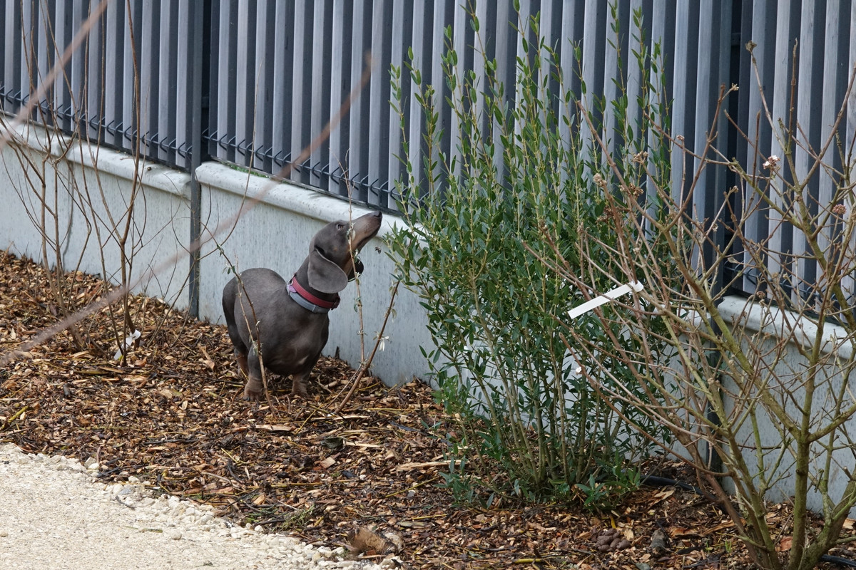 [Image: DSC01309.jpg]