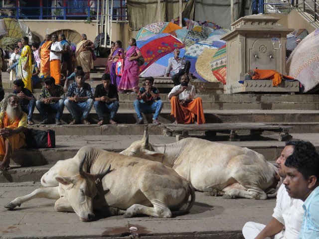Día 13- Varanasi: Primer contacto y ceremonias en el Ganges - INDIA Y NEPAL POR LIBRE: 21 INTENSOS DIAS Y UNA TOTAL AVENTURA (4)