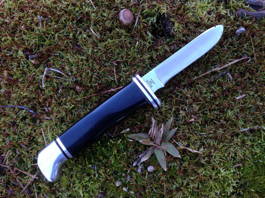 Buck-116-Caper.jpg