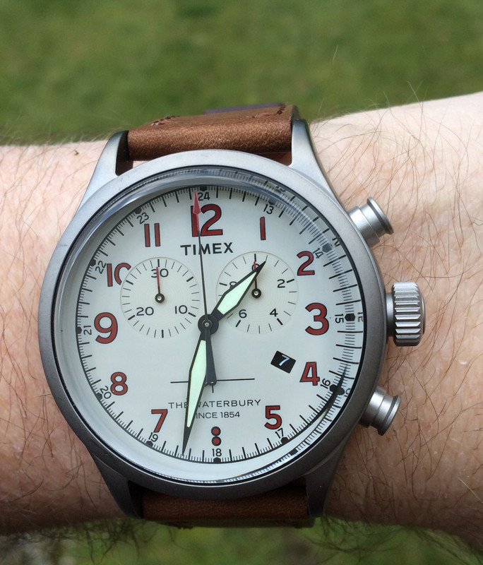 timex forester