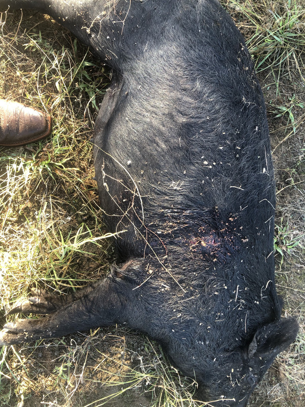 FQrdssjqS6Cak7bJV3emqw