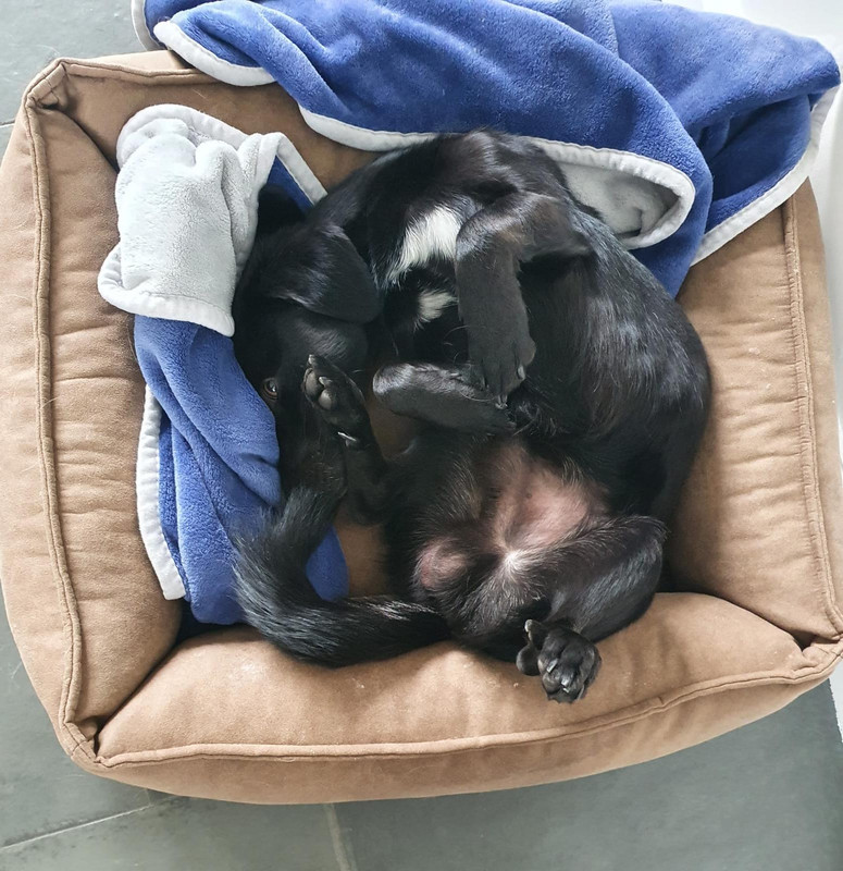 WhatsApp Image 2021-05-08 at 11.16.07