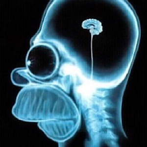 60C3CF90-89FC-439F-A82F-643BCD3524F3