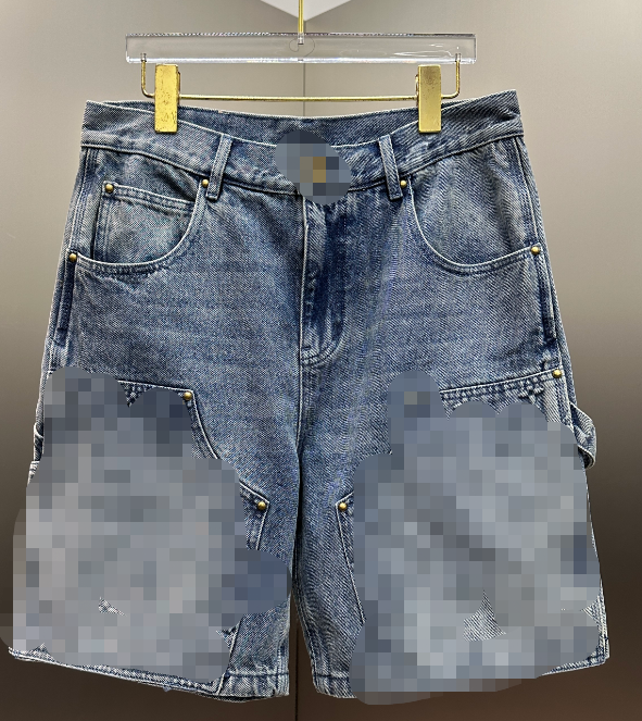  Louis Vuitton Shorts