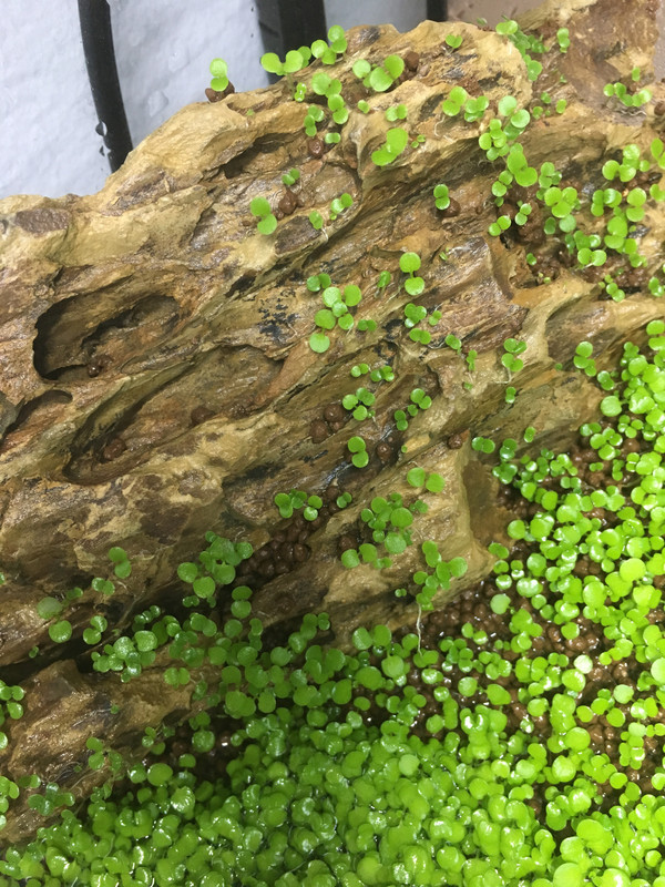 CBD3A1AB-AFC7-420F-B0CC-757852843466