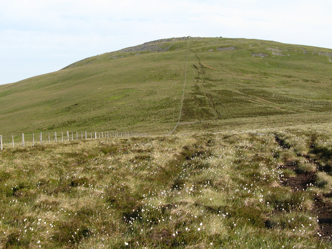 4A9C22BB-F1A9-4050-9F1B-F886CFC3EB72