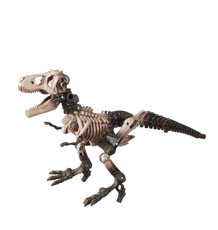 TF-Kingdom-Official-Pics-035