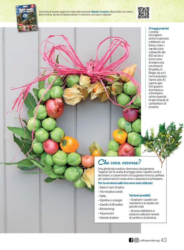 Pol Ver Dic 2023-Gen 2024 (7)