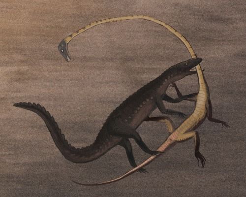 fc84f31a182b2eb0323791141d6ae56d