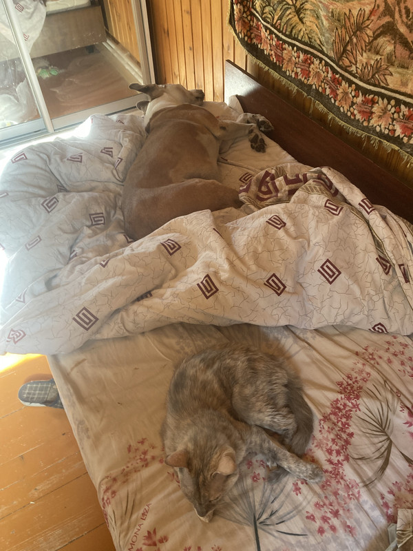 4557D41F-C8C0-466F-8D07-33C01D119B56