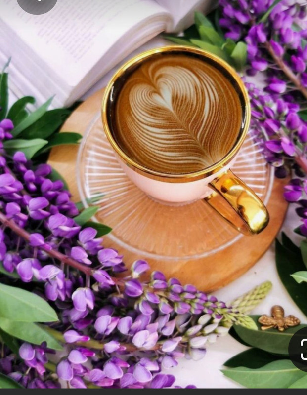 Screenshot_20230316_181722_Pinterest