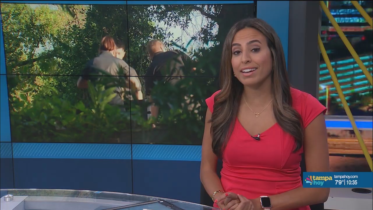 Noticias Tampa Hoy_20240504_03300400.ts_snapshot_05.58.221