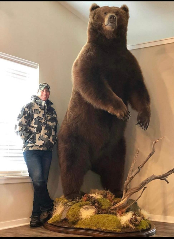 Screenshot_20231127_095634_Photos