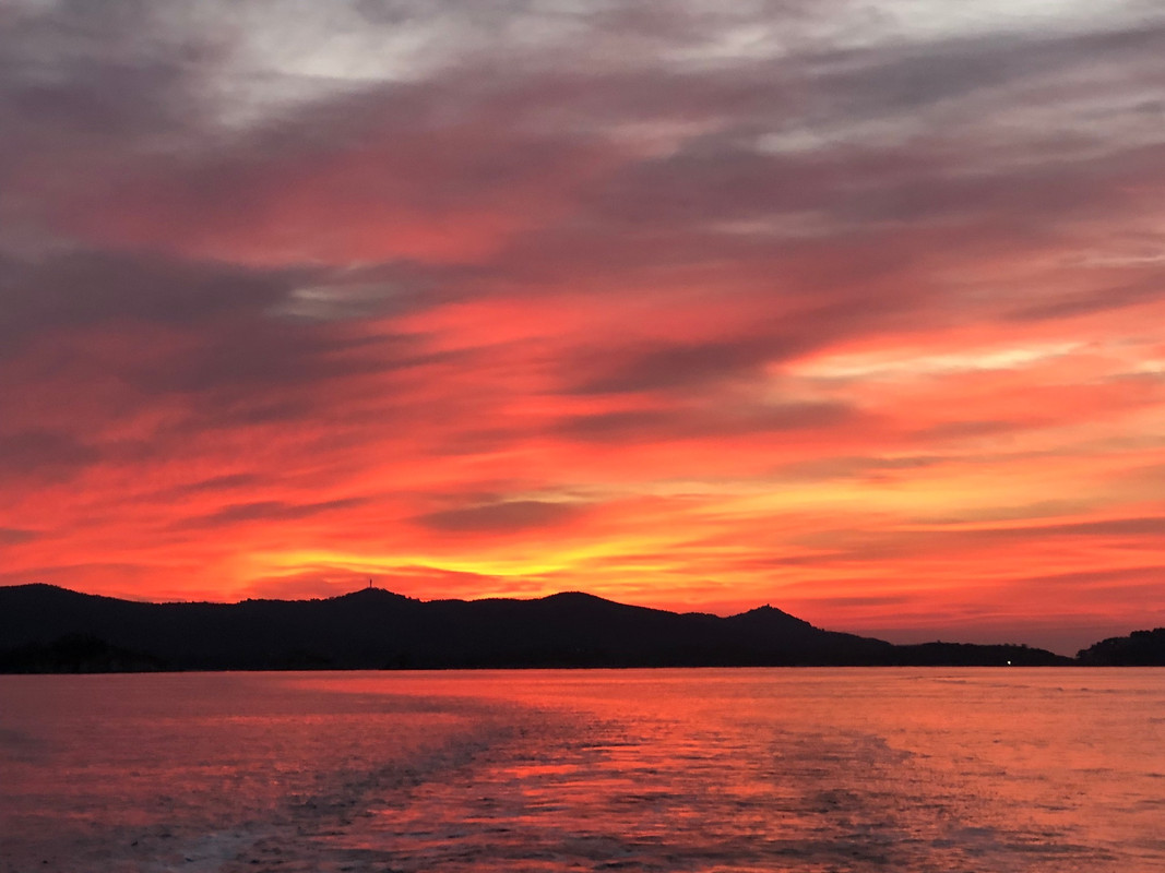 568E166E-37C4-4B92-B1F6-DB36AF4CA922