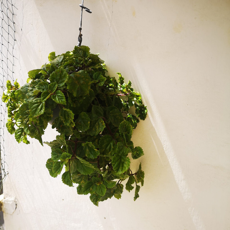 WhatsApp Image 2023-07-18 at 13.08.29 (1)