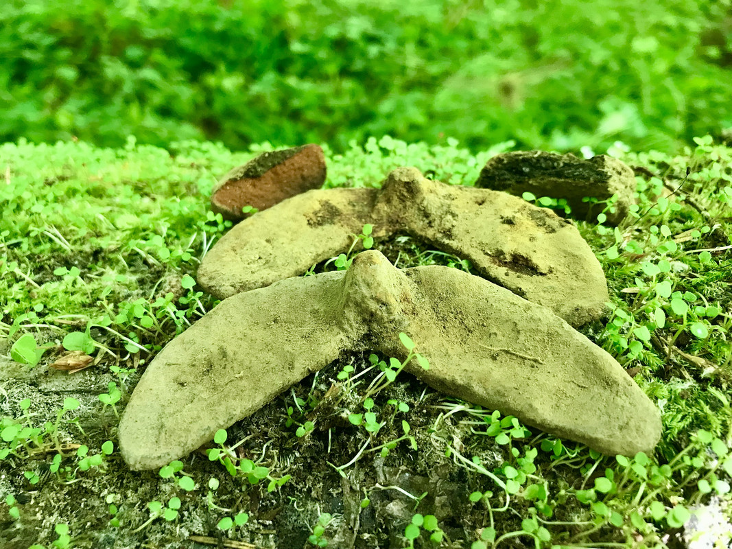 DB8C816A-DDD8-4CF6-813D-E780F0459E79