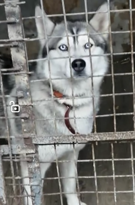 Снимок экрана 2024-05-02 в 17.52.29