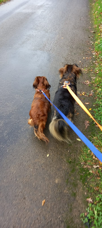 [Image: Whats-App-Image-2024-10-07-17-39-05-5f9fb448.jpg]