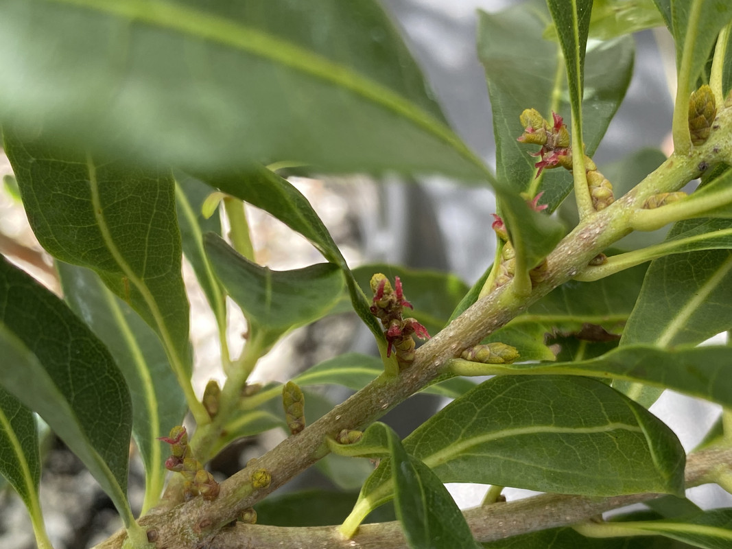 880DF9F4-2A69-4F90-8527-6C1B37C177F4