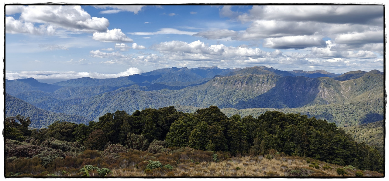 Paparoa NP: Paparoa Track (diciembre 2024) - Escapadas y rutas por la Nueva Zelanda menos conocida (21)