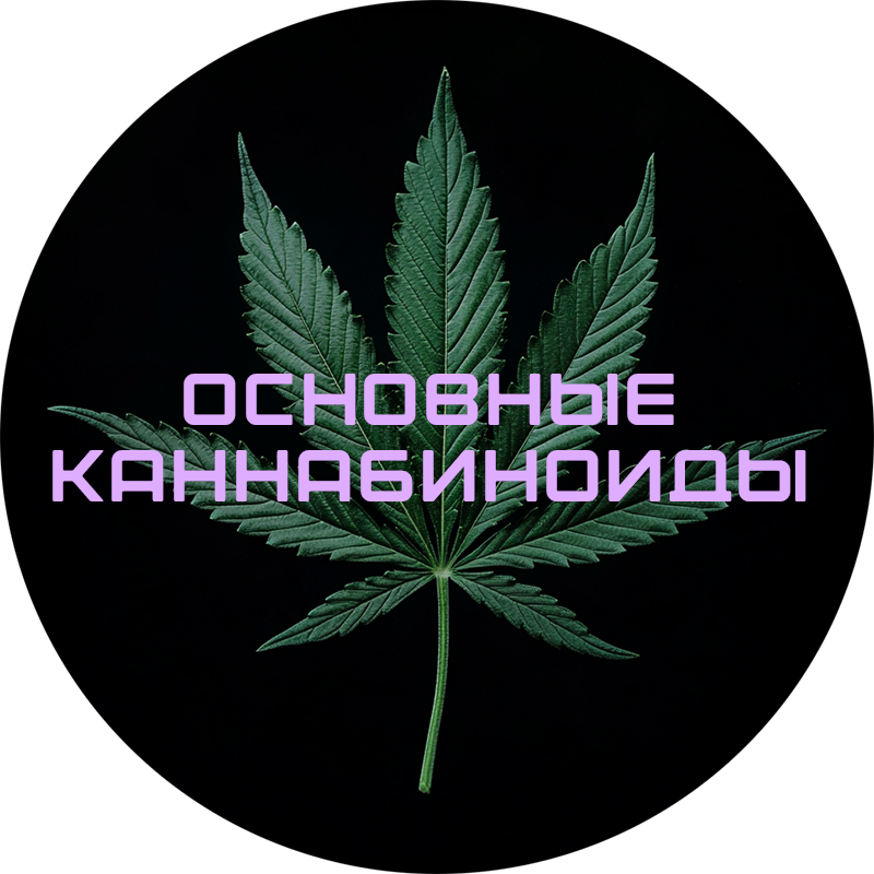 cannabinoids.png