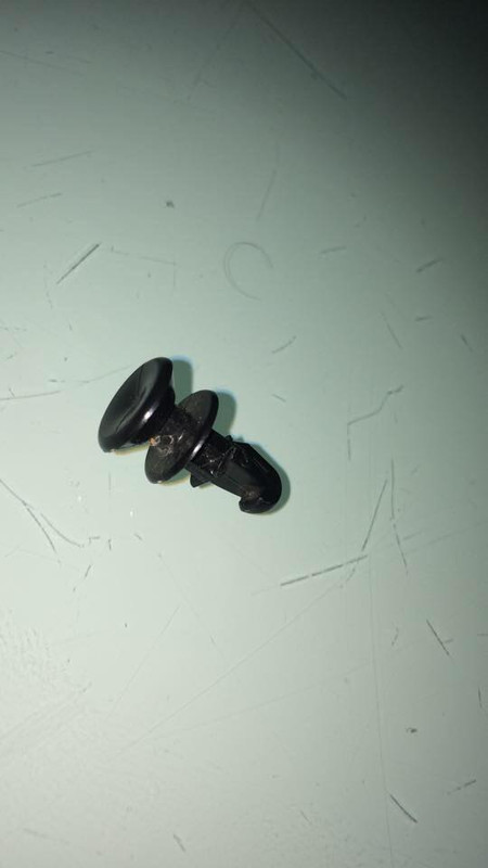 12435948_10208542306380211_1299126766_n